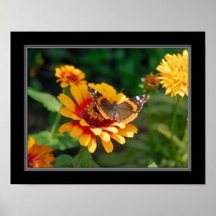 11 x 14 indisk Blanket Wildblomma och Butterfly Poster