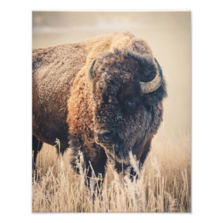 11 x 14 Print - Frosty Morning Fototryck