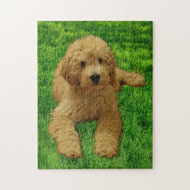 11 x 14 Rex the Goldendoodle Pussel (Vertikal)