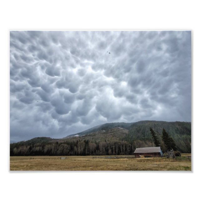 11" x 8,5" fotoutskrift || Cedar Mt Mammatus Fototryck (Framsidan)