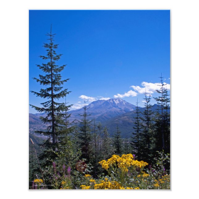 11X14 Mount St Helens Fototryck (Framsidan)