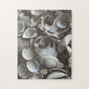 11x14 Shells Puzzle for Colorblind People Pussel