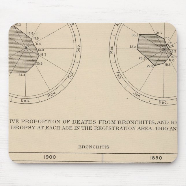 123 Dödssjukdomar Luftvägar, bronkit Musmatta (Framsidan)