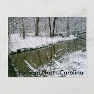 124, Hej från North Carolina Vykort