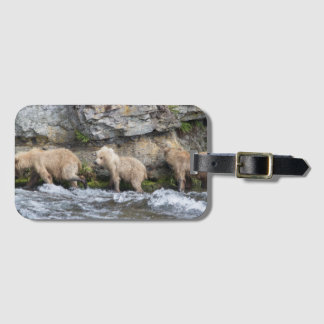 128 Grazers ungar på bäcknedgångar - bagagemärkre Bagagebricka