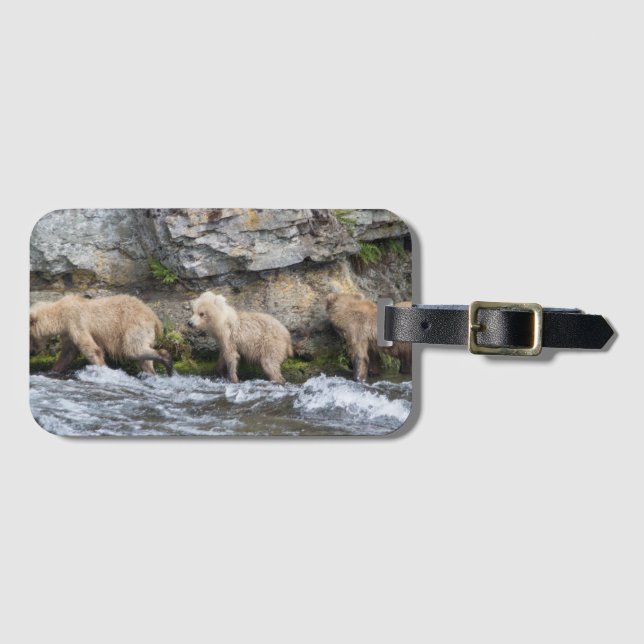 128 Grazers ungar på bäcknedgångar - bagagemärkre Bagagebricka (Framsida horisontal)