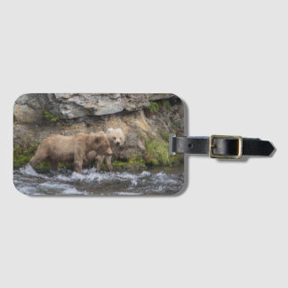 128 Grazers ungar på bäcknedgångar - bagagemärkre Bagagebricka