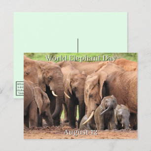 12 augusti - Elefantdagen i världen Helg Vykort