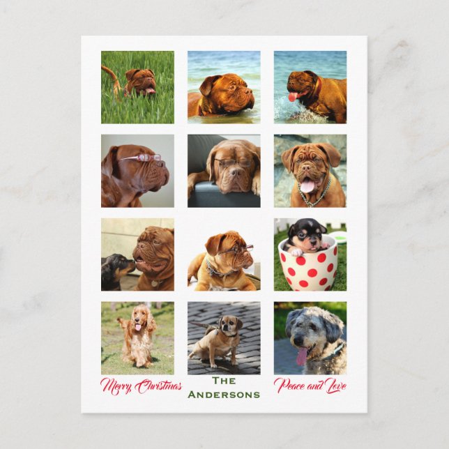 12 Bild Familjefoto ✨ Klistrande Jul Vykort (Framsida)