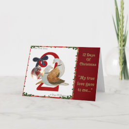 12 dagar av jul två sköldpaddaduvor helgkort
