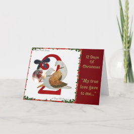 12 dagar av jul två sköldpaddaduvor helgkort