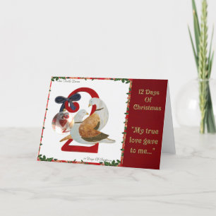 12 dagar av jul två sköldpaddaduvor helgkort