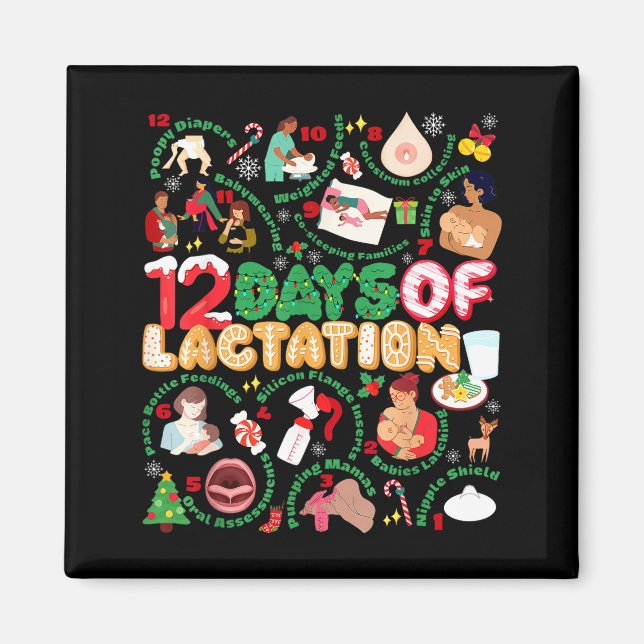 12 Day Of Ibclc Lactation Consultant Breastfeeding Magnet (Framsidan)