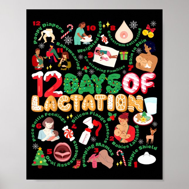 12 Day Of Ibclc Lactation Consultant Breastfeeding Poster (Framsidan)