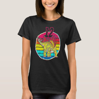12:e Birthday I Stegosaurus Stenops I Family Match T Shirt