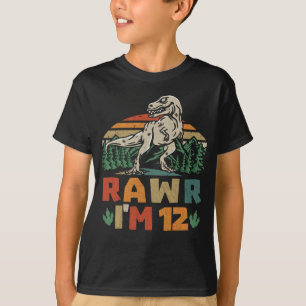 12:e födelsedagsdoktor T Rex Rawr I är 12 för pojk Shirt