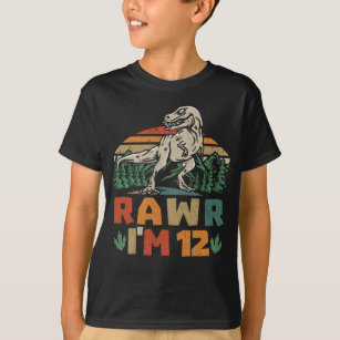 12:e födelsedagsdoktor T Rex Rawr I är 12 för pojk T Shirt