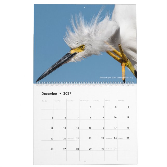 12 fåglar för fotografi 2018 för ~-Tom rygg Kalender (Dec 2027)