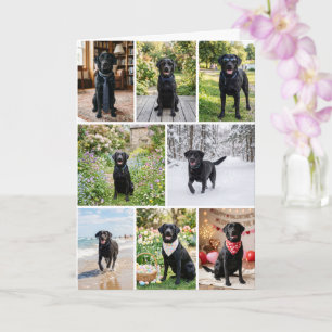 12 Foto Collage Personlig Anpassad Kort