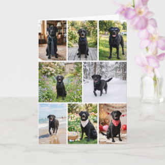 12 Foto Collage Personlig Anpassad Kort
