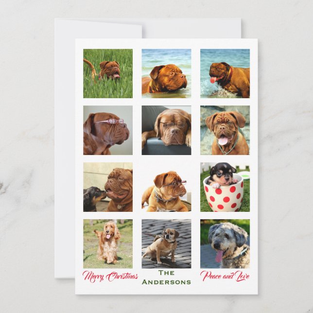 12 Image Otrolig julfamiljskamrat Inbjudningar (Framsida)