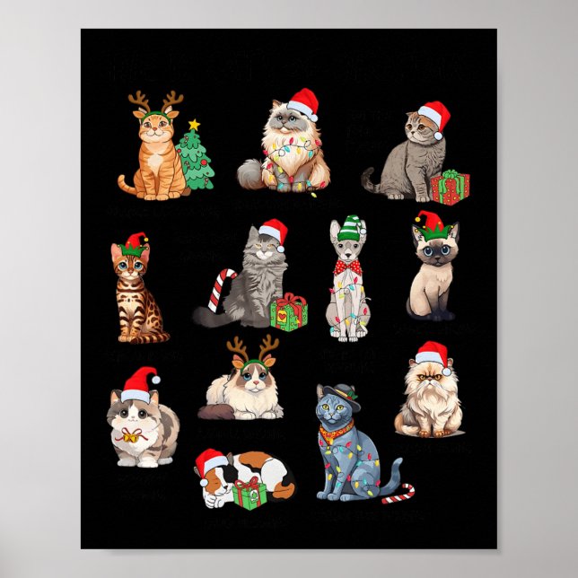 12 Katt av julklapp vid julklapp Xma Poster (Framsidan)