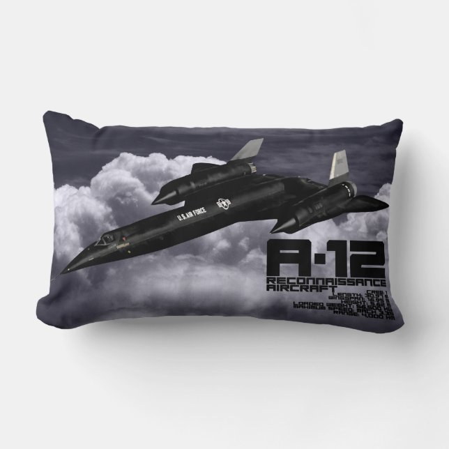 12 LUMBARKUDDE (Framsida)