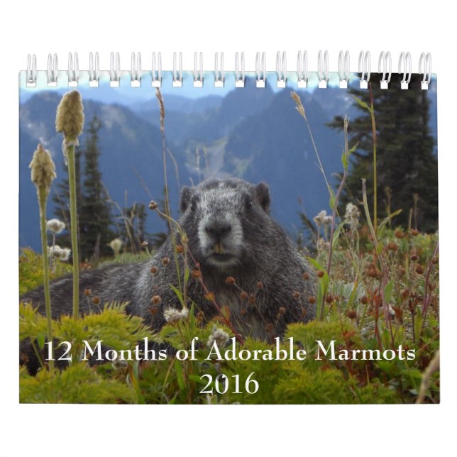 12 månader av administrativa Marmots 2016-kalender Kalender (Omslag)