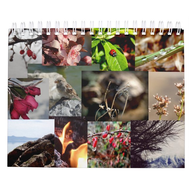 12 månader av årsfranskkalendern kalender (Baksida)