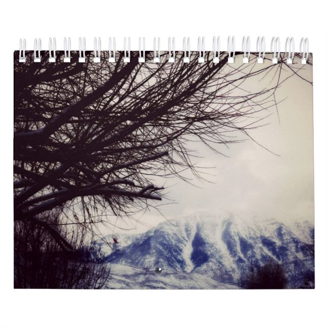 12 månader av årsholländare/den Belgien kalendern Kalender (Omslag)