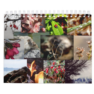 12 månader av årsholländare/den nederländska kalender