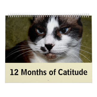 12 månader av Catitude Kalender