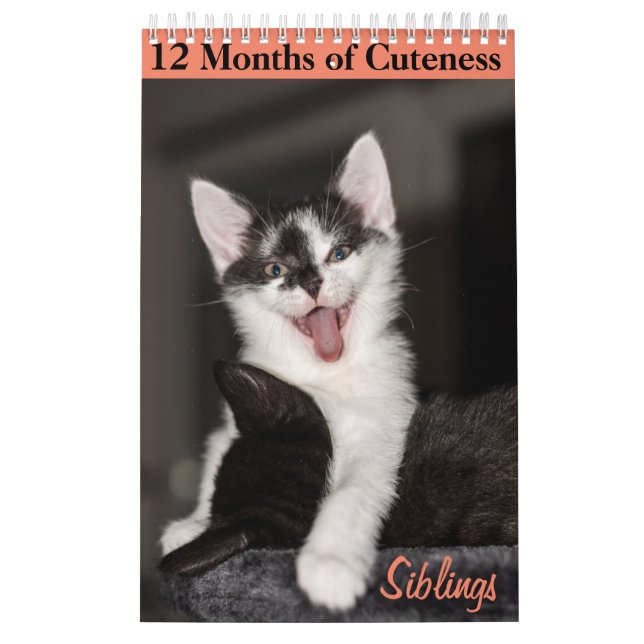 12 månader av Cuteness Kittens Syskon Kalender (Omslag)