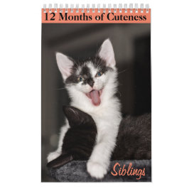 12 månader av Cuteness Kittens Syskon Kalender