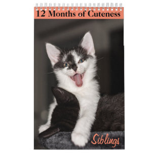 12 månader av Cuteness Kittens Syskon Kalender