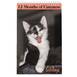 12 månader av Cuteness Kittens Syskon Kalender