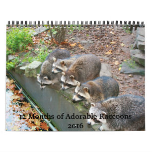 12 månader av den förtjusande Raccoonskalendern Kalender