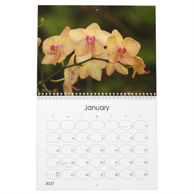 12 månader av härliga Orchids Kalender (Jan 2027)