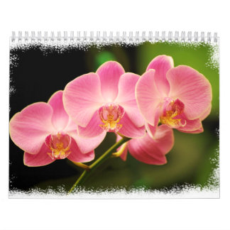 12 månader av härliga Orchids Kalender