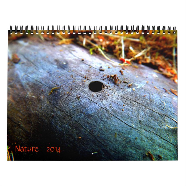 12 månader av naturen kalender (Omslag)