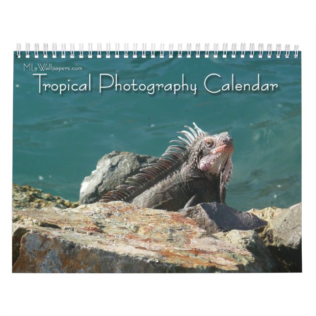 12 månader med tropisk fotografering, 2:a upplagan kalender (Omslag)