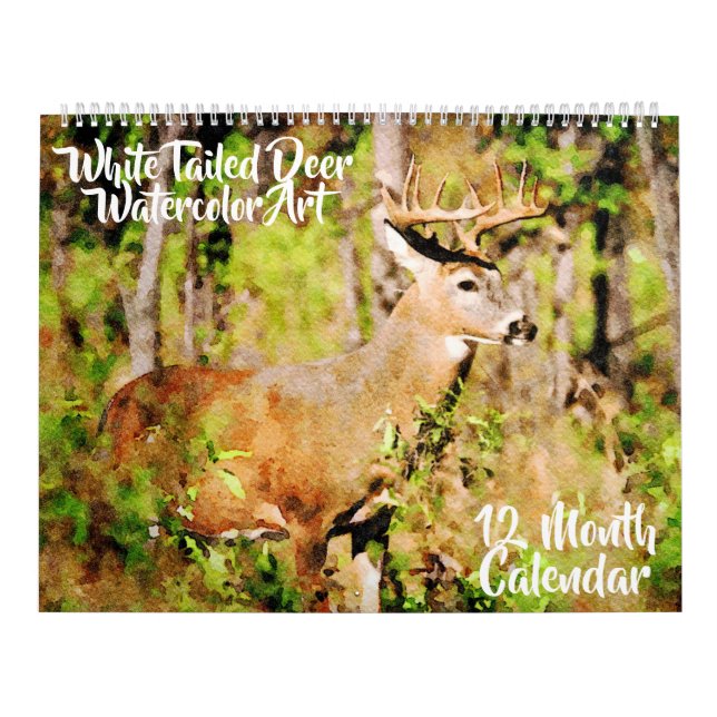 12 månader - Whitetail Hjort Watercolor Wildlife A Kalender (Omslag)