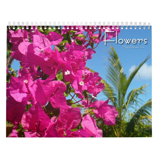 12 månaders blomfotografering, 3:e upplagan kalender (Omslag)