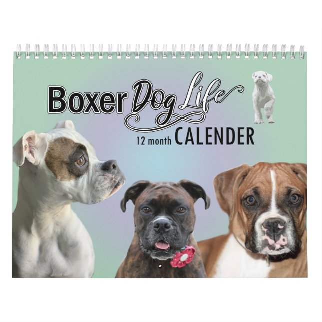 12 månaders Boxer Hund Life Kalender (Omslag)