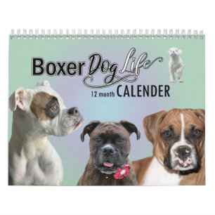 12 månaders Boxer Hund Life Kalender