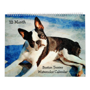 12 månaders Cute Boston Terrier Hundar Watercolor  Kalender