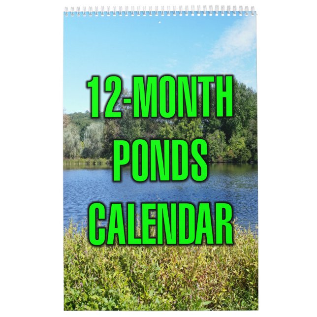 12-månaders dammar kalender (Omslag)