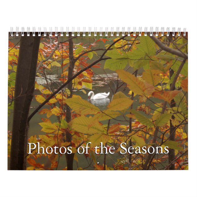 12 månaders foton från Seasons, 12:e Edition Kalender (Omslag)