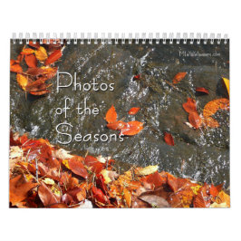 12 månaders foton från Seasons, 8:e upplagan Kalender