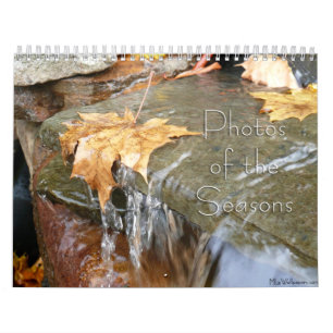 12 månaders foton från Seasons femte utgåva Kalender